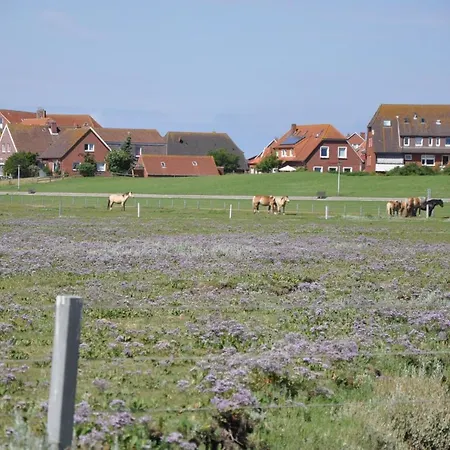Nordstrand Whg 3 Lejlighed