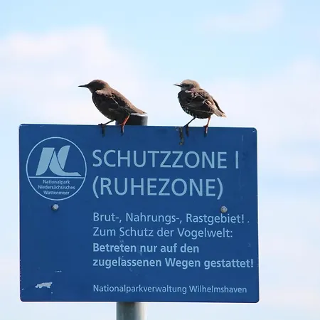 Nordstrand Whg 3 شقة *