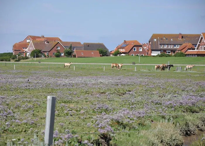 Nordstrand Whg 3 Lejlighed